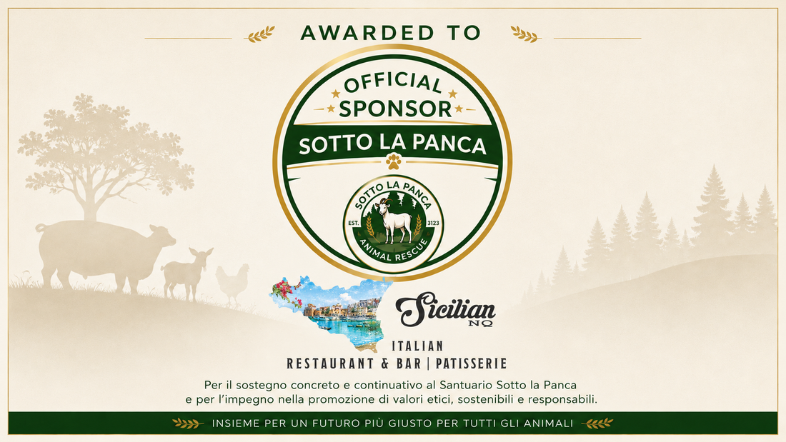 Perché Sicilian NQ ha scelto di diventare Sponsor Impatto del Santuario Sotto la Panca