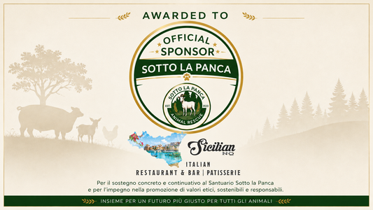 Perché Sicilian NQ ha scelto di diventare Sponsor Impatto del Santuario Sotto la Panca