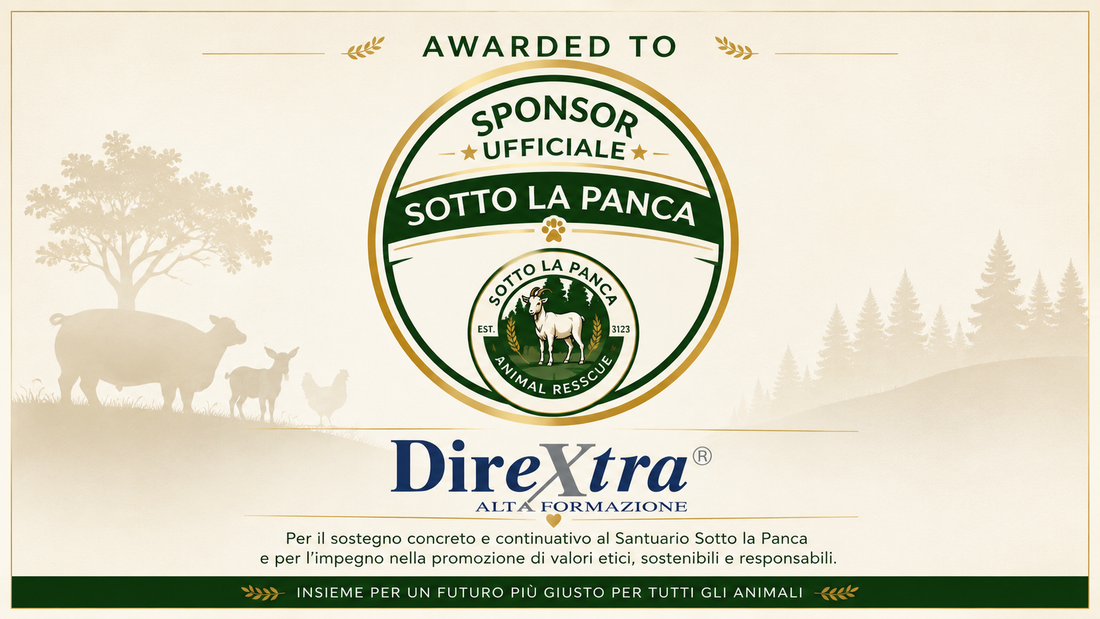 Certificato Sponsor Ufficiale Sotto la Panca assegnato a Dirextra Alta Formazione per il sostegno concreto agli animali salvati e per l’impegno verso sostenibilità e responsabilità sociale.