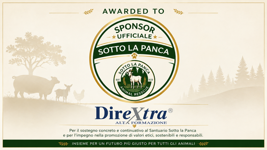 Certificato Sponsor Ufficiale Sotto la Panca assegnato a Dirextra Alta Formazione per il sostegno concreto agli animali salvati e per l’impegno verso sostenibilità e responsabilità sociale.