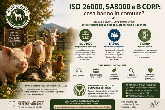 Rappresentazione del legame tra standard ISO 26000, SA8000, certificazione B Corp e sostegno ai santuari per animali come parte di una strategia ESG.