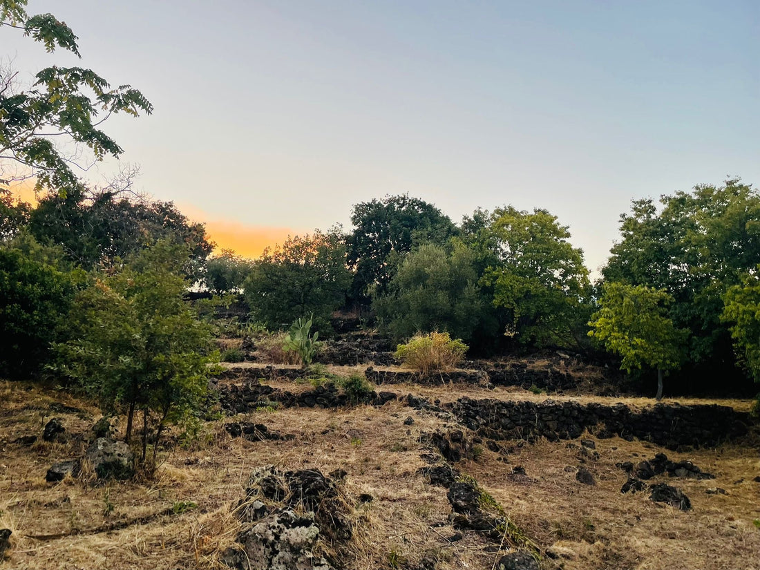Paesaggio del Santuario Sotto la Panca durante l’estate siciliana
