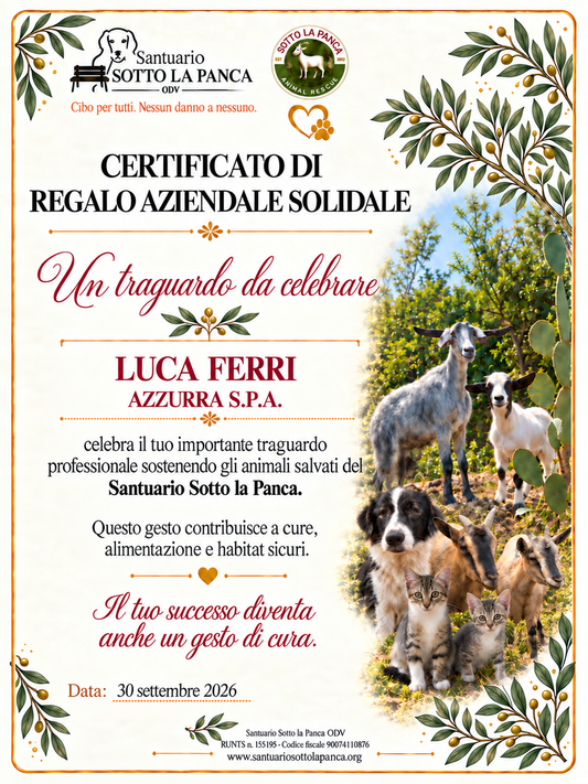 Certificato aziendale solidale per celebrare un importante traguardo professionale